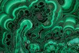 Flowery Polished Malachite Slab - DR Congo #350840-1